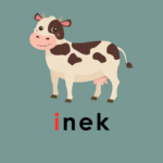 J Sesi – Şarkılı Video