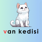 Ü Sesi – Şarkılı Video